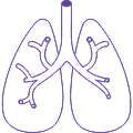 Area respiratoria