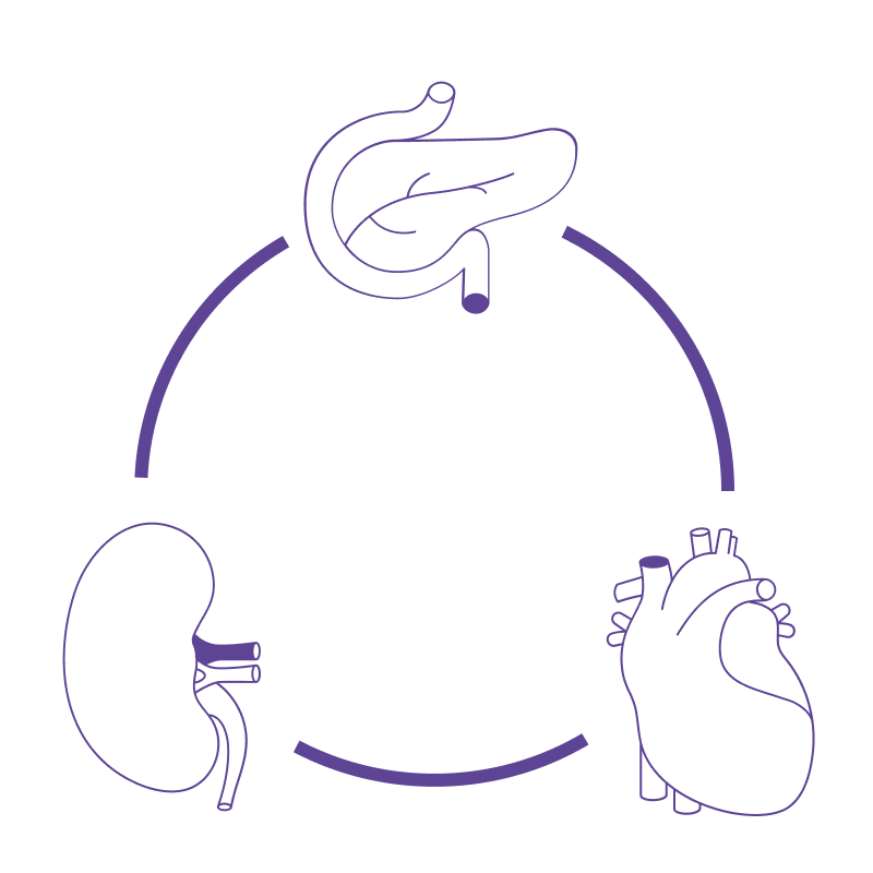 Area Cardio renale Metabolica